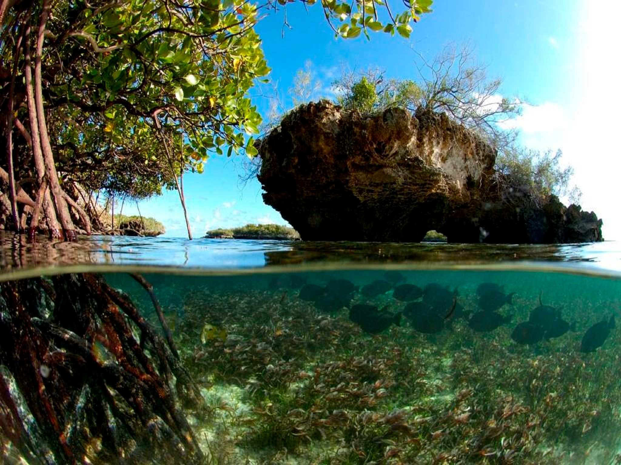 Aldabra Atoll | The Seychelles Islands
